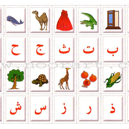 Color and Learn the letters