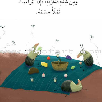 Graded Reading Series - Green Group: Level 5 (set of 5 Books) سلسلة القراءة المتدرجة مجموعة اللون الأخضر