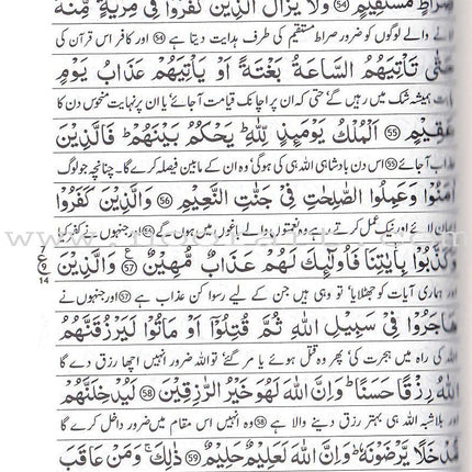 Urdu: Tafseer Ahsan-Ul-Bayan (7 x 10")