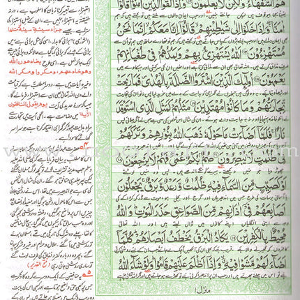 Urdu: Tafseer Ahsan-Ul-Bayan (Extra Large)