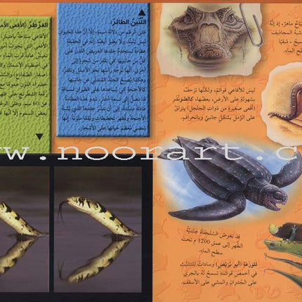 Discover with The Three-Dimensional Telescope (6 books) اكتشف بالمنظار الثلاثي الأبعاد