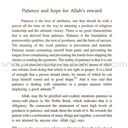 Salah ad-Din al-Ayubi (2 Volume Set)