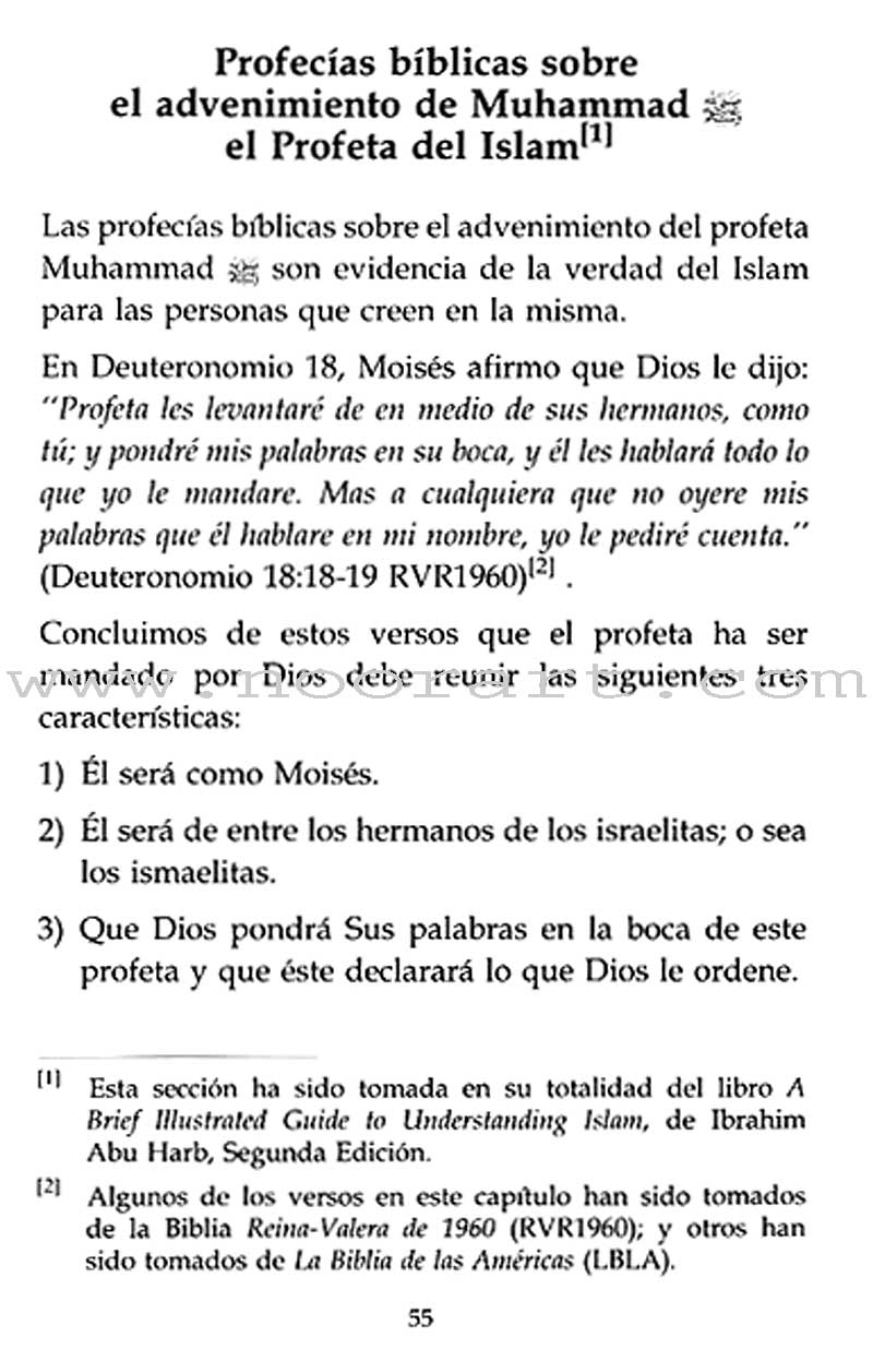 Introducción al Islam – Introduction to Islam (Spanish)