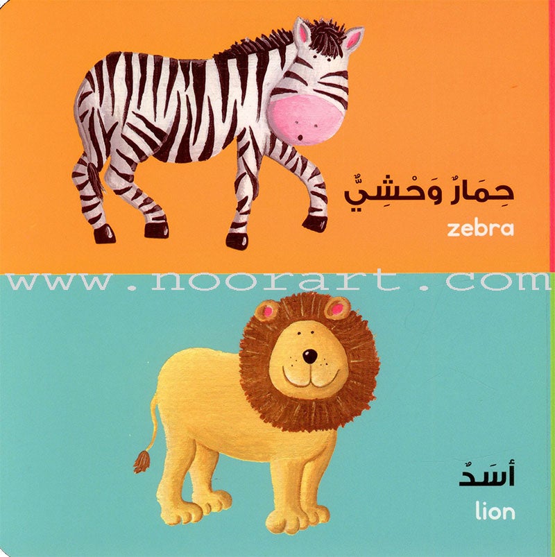 Animals Board Book الحيوانات