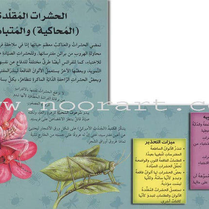Discover with The Three-Dimensional Telescope (6 books) اكتشف بالمنظار الثلاثي الأبعاد