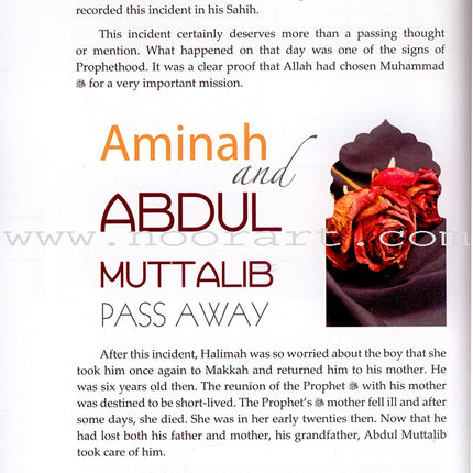 Islam A Total Beginner's Guide (3 Part Set)