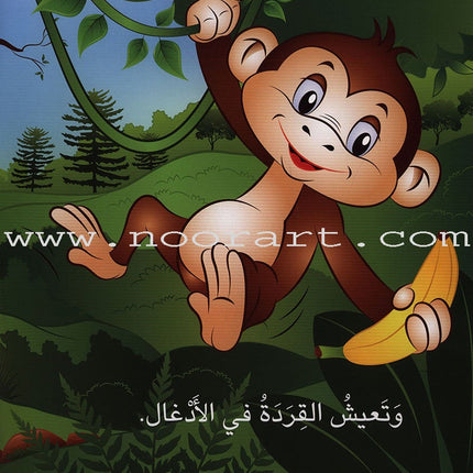 Have Fun Series - Birds Level 1 (10 Books) سلسلة عصفورة - سلسلة امرح