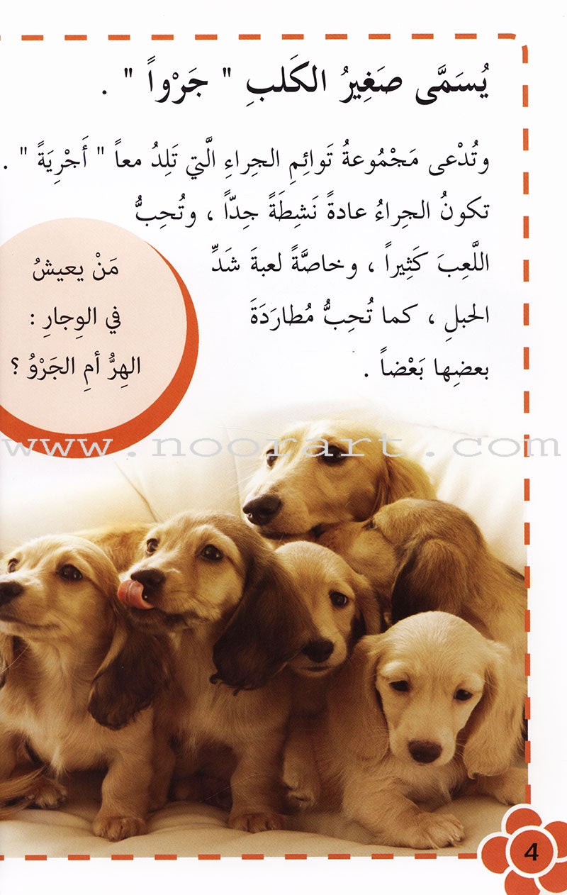 Useful Reading Series - Animals' Babies - Level A1 القراءة المفيدة - صغار الحيوانات