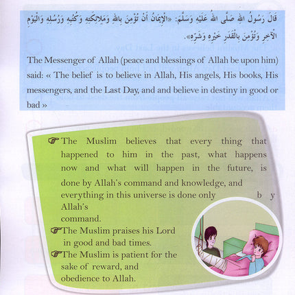 The Happy Muslim: Level 5