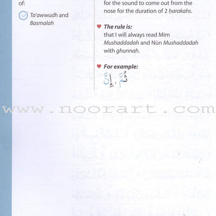 Rules of Tajwid (Madinah Script)