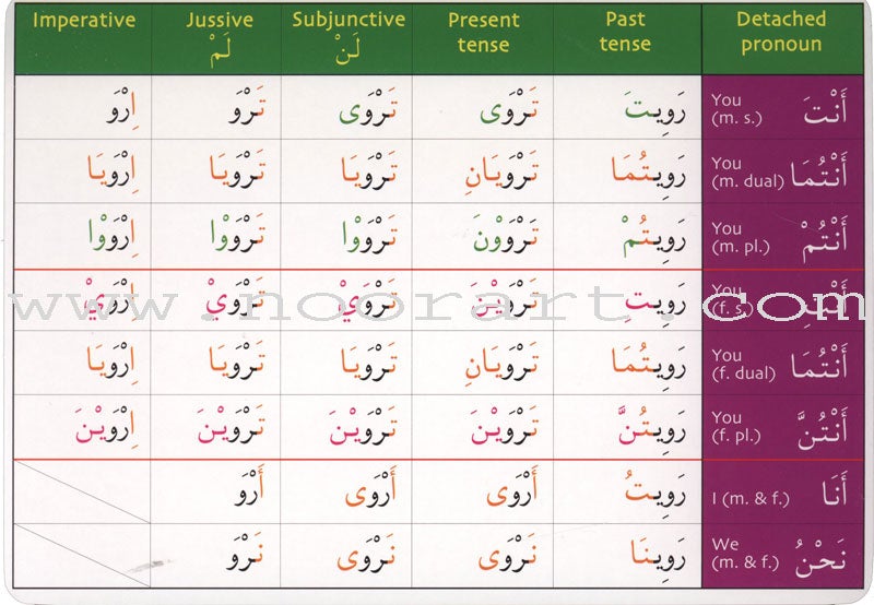 Gateway to Arabic Verb Conjugation Flashcards - Set One: Form One Verbs (50 Double-Sided Cards)