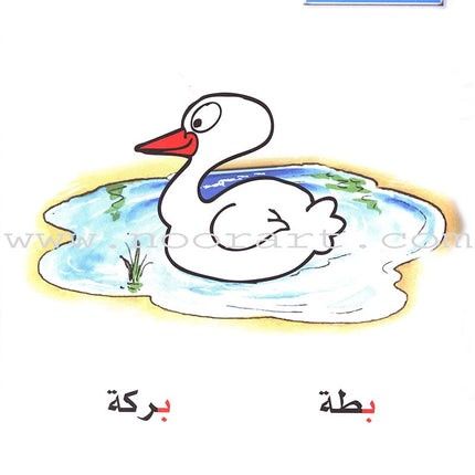 Learn the Arabic Language: Level 1 تعلم اللغة العربية