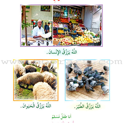 Oasis of Faith: Level 2 (Arabic Edition) واحة الايمان