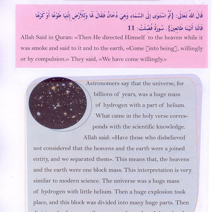 The Happy Muslim: Level 6