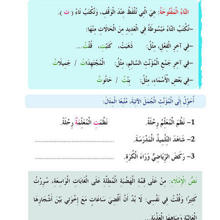 In the Arabic Language Garden Simplified Grammar: Level 5 في حديقة اللغة العربية كتاب التمارين