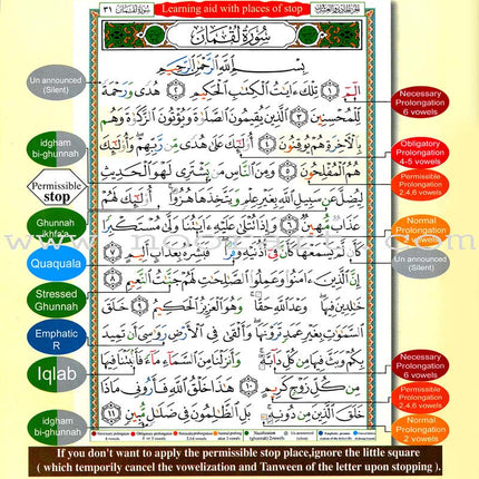 Tajweed Qur'an (Whole Qur’an, With Meaning Translation and Transliteration in English) (7"x9") مصحف التجويد