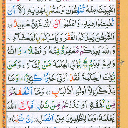 Holy Qur'an with Color-Coded Tajweed Rules - Majeedi Script, 13 Lines (Cover May Vary)