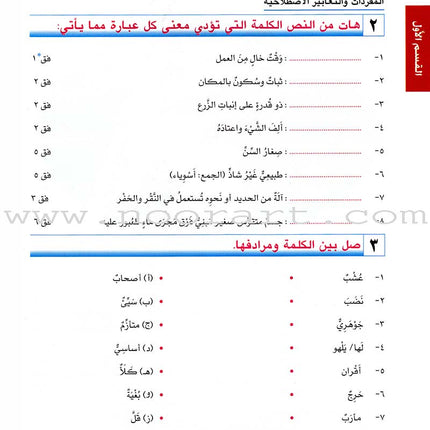 I Love Arabic Textbook: Level 12 أحب العربية كتاب التلميذ