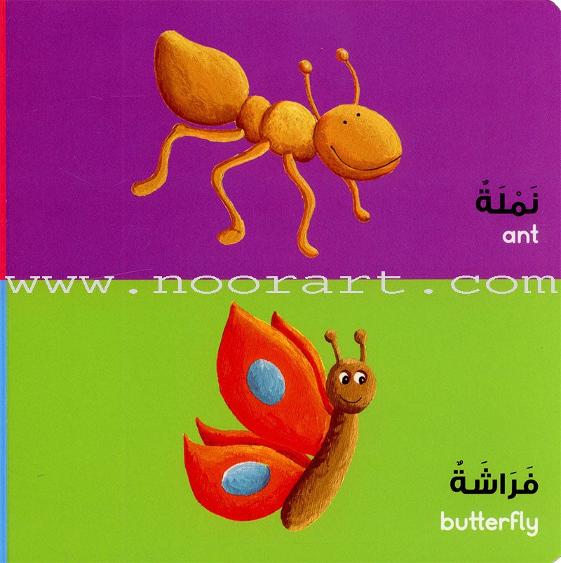 Animals Board Book الحيوانات