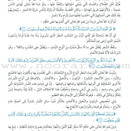 The Holy Qur'an Interpretation Series - Systematic Interpretation: Volume 10 سلسلة تفسير القراّن الكريم التفسير المنهجي