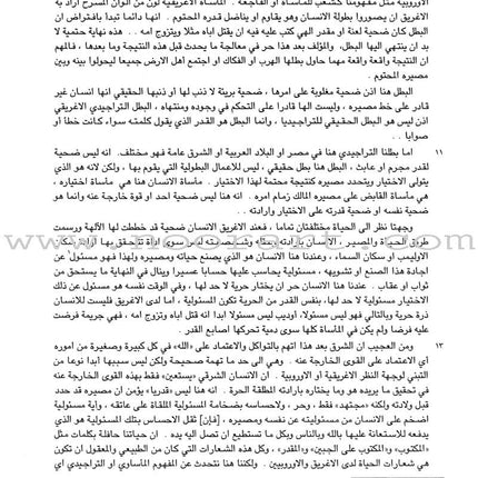 Al-Kitaab fii Ta'allum al-'Arabiyya - A Textbook for Arabic: Part Three with Multimedia الكتاب في تعلم العربية