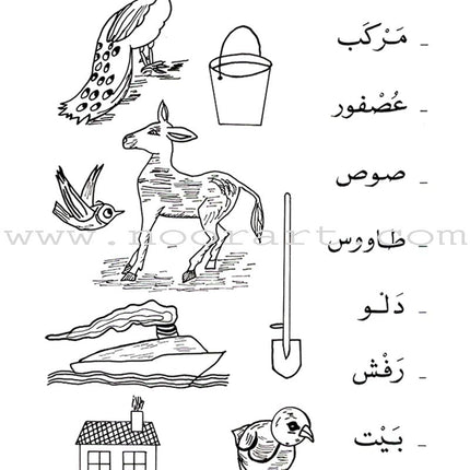 The Exciting Exercises: Level 1 التمارين المشوقة