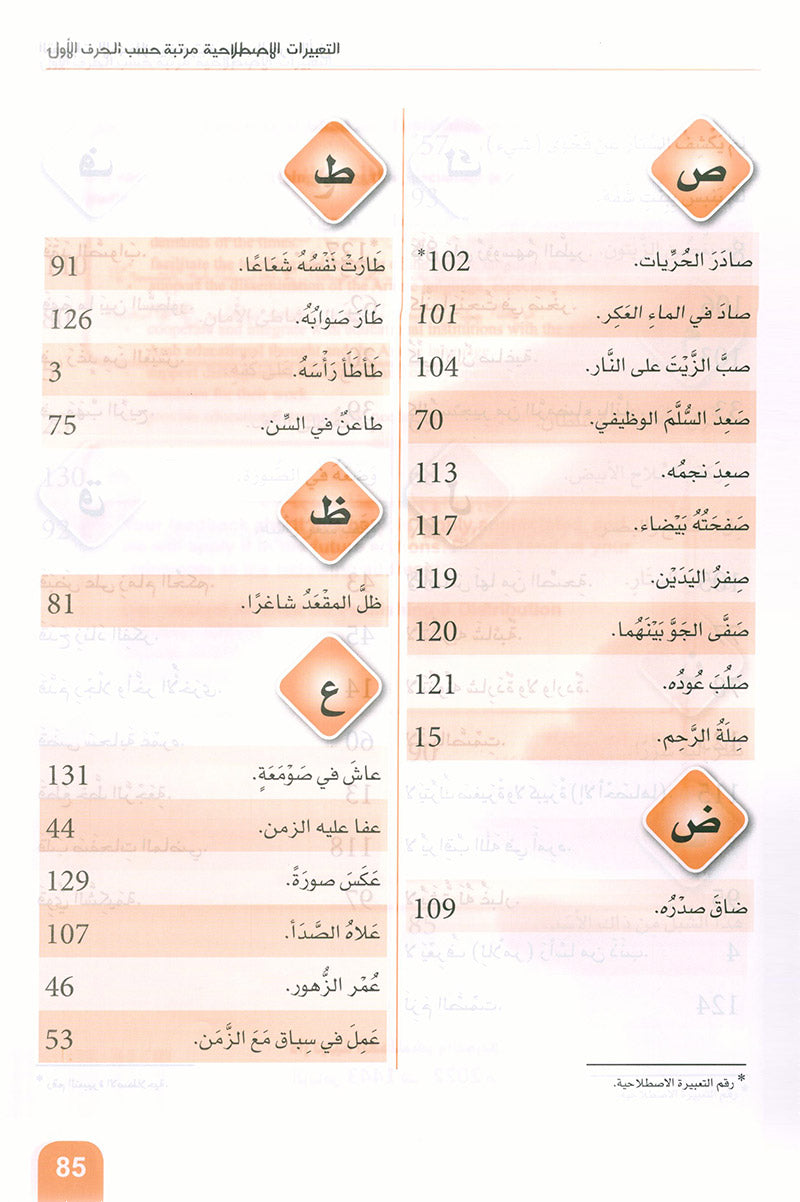 Arabic is the Language of Tomorrow: Idiomatic Expressions Level 3 العربية لغة الغد : التعبيرات الإصطلاحية الجزء الثالث