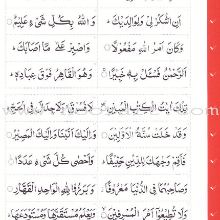 Complete Qa'idah - Learn to Read Series (South Asian Script)